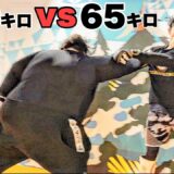 ブレイキングダウン6に出場した「220キロの力士」vs「アシダくん」試合前のガチ対決！！