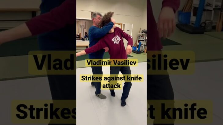 Systema Strikes by Vladimir Vasiliev