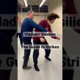 The Guide to strikes, Vladimir Vasiliev the Systema Master
