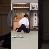 A rotating man, “Aikido”