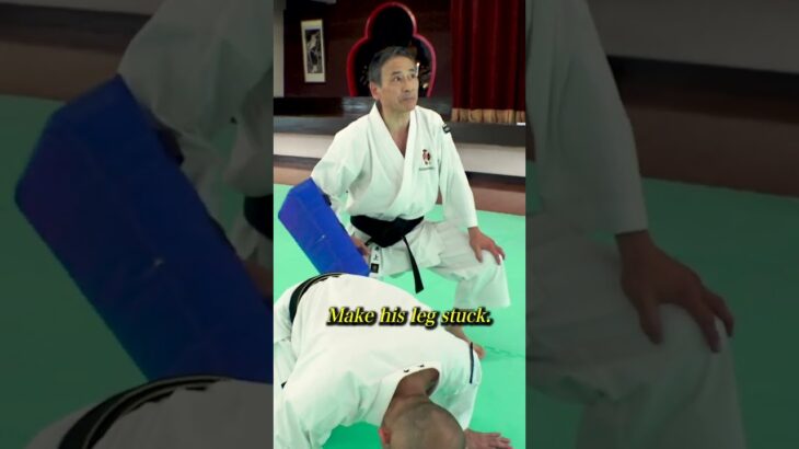 Shorinjikempo VS Lowkick