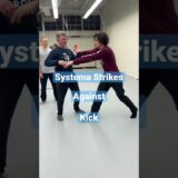 Systema Strikes against Kick by Vladimir Vasiliev