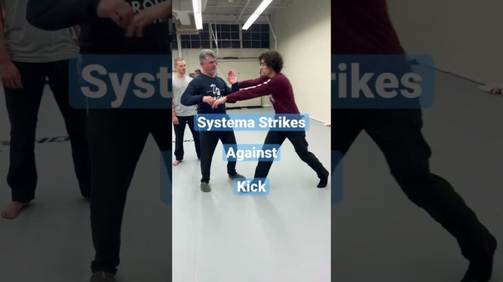 Systema Strikes against Kick by Vladimir Vasiliev