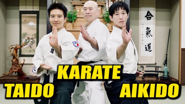 【Verification】What would happen if Aikido fought Karate or Taido? ＜Shirakawa Ryuji＞