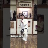 Powerful Kata of Okinawa Gojyu-ryu Karate