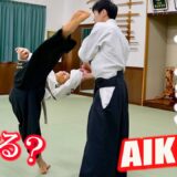 If you are caught by the Aikido master, can you fight back? ＜Verification＞