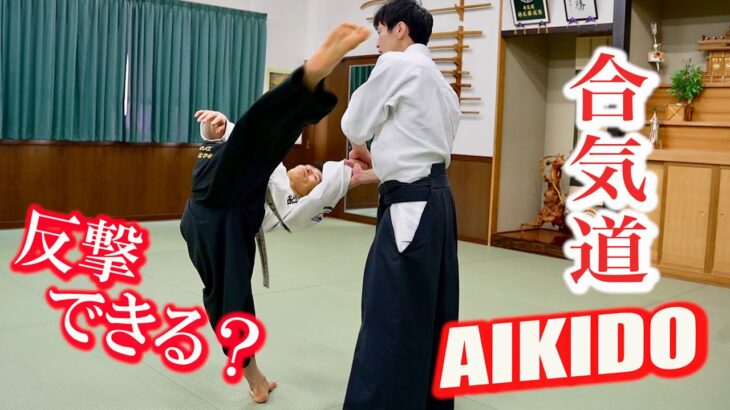 If you are caught by the Aikido master, can you fight back? ＜Verification＞