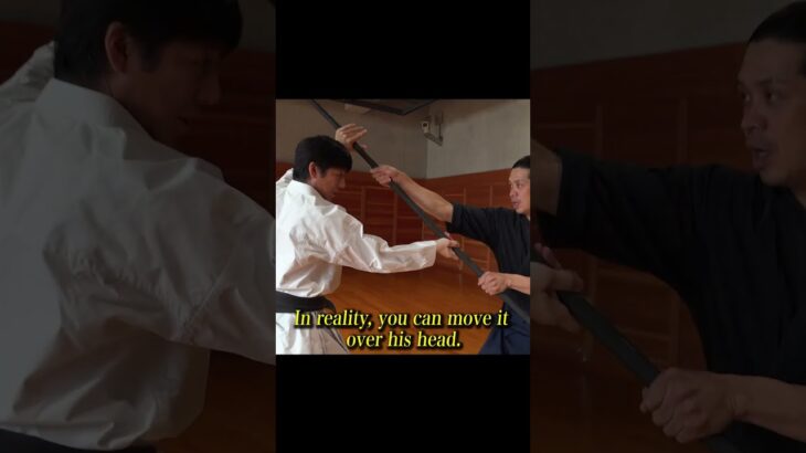 Fighting against a long stick using Kata.