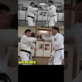 Super-fast hitting! Okinawa Karate