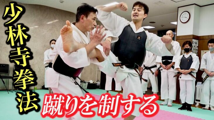 【Shorinji Kempo】Detailed explanation of how to deal with kicks! 【Special Seminar】