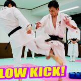 Entangle the low kick by foot! Amazing leg techniques of “Shorinji Kempo”!
