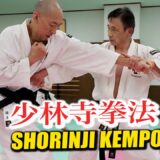 Punch against “Shorinji Kempo” and you are in danger!
