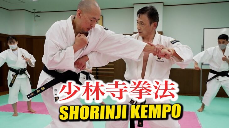 Punch against “Shorinji Kempo” and you are in danger!