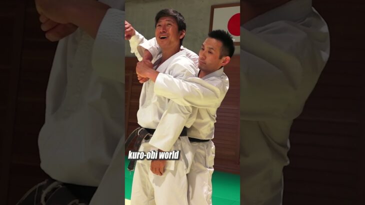 How to use Karate Kata, Heian sandan. #karate #kata #budo