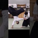 #aikido Ryuji Shirakawa sensei, “Ukemi” techniques. 白川竜次先生の #合気道【受身】