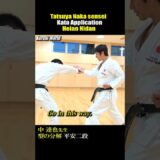 Fight with Kata, Heian Nidan #karate