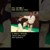 Fight with Heian Nidan #karate