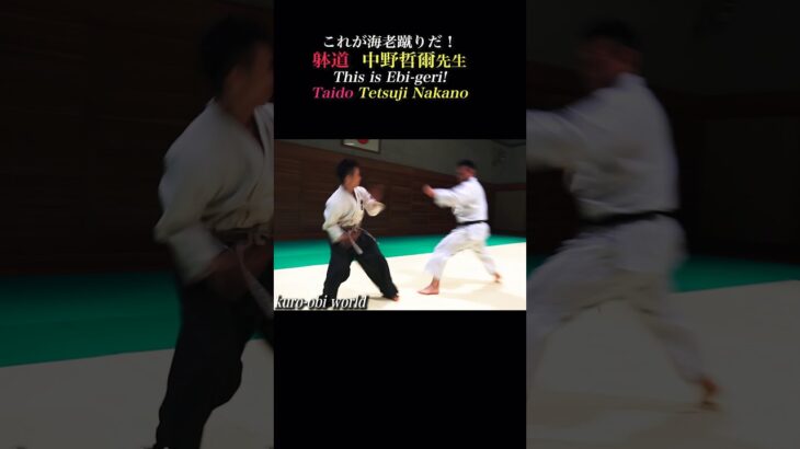 This is “Ebi-geri”! #taido Tetsuji Nakano sensei