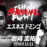 【日本人キラーvs火消し】11.11 エスネス・ドミンゴ vs 岩﨑圭佑