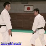 An attack that cannot be reacted to. This is Budo Karate. Tatsuya Naka sensei #karate