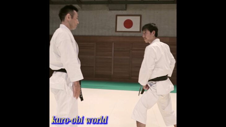 An attack that cannot be reacted to. This is Budo Karate. Tatsuya Naka sensei #karate