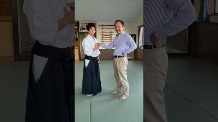 Director manipulated by Aikido