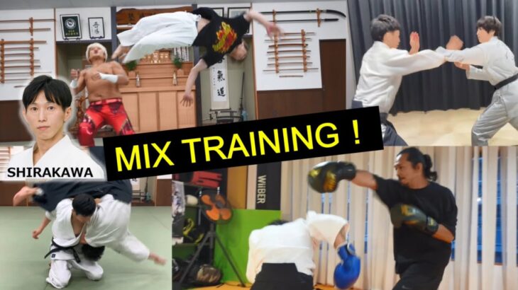 Mix Training – Aikido Master Ryuji Shirakawa