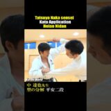 The application of Kata “Heian Nidan” Tatsuya Naka sensei. #karate #karatedo #kata