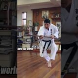 Traditional Okinawan Weapon “Bo-jutsu”