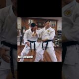 Collapsed in an instant! Karate of Ryukyu Kobudo is amazing!