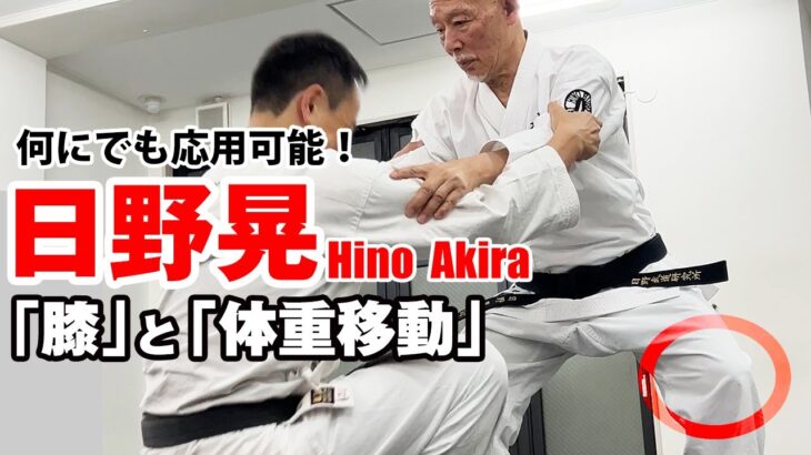 日野晃「衰えない力」の正体ーー膝と体重移動　unfading power of Hino AkiraーーHow to use your knees and shift your weight.