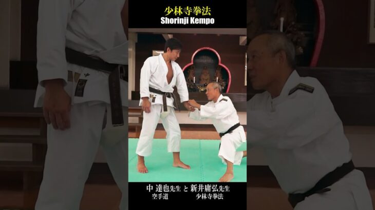 Karate master is astonished by Shorinji Kempo! 空手家が少林寺拳法に驚愕！