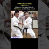 Elbow strikes, groin attack, and head butts are all included in Okinawa karate!