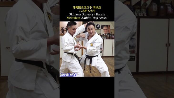 Elbow strikes, groin attack, and head butts are all included in Okinawa karate!