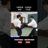 How does an Aikido master respond to a kick?
