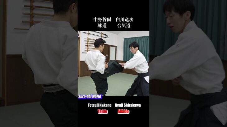 How does an Aikido master respond to a kick?