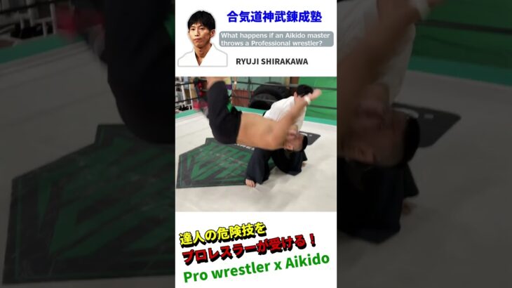 What happens if an Aikido master throws a Pro wrestler? Part2