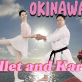 Grand plié and “shiko-dachi”. The amazing similarities between karate and ballet!