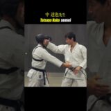 Karate master’s high-speed continuous punching!