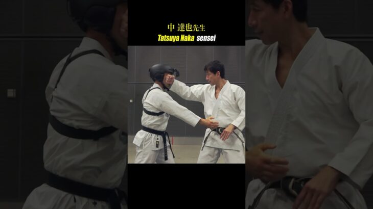 Karate master’s high-speed continuous punching!