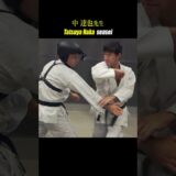 Kick to the groin! Elbow strikes! Tatsuya Naka explains the kata movements