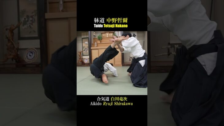 Kicking while sitting! Taido Master attacks Aikido Master!