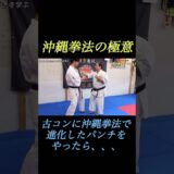 【沖縄拳法の極意】パンチが簡単に効く方法が凄い