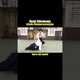 【Aikido】Basic Techniques, Ryuji Shirakawa