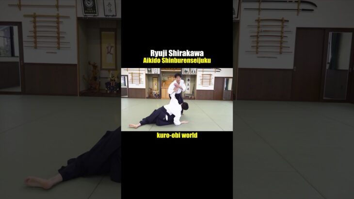 【Aikido】Basic Techniques, Ryuji Shirakawa