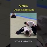 Dynamic and beautiful Aikido – RYUJI SHIRAKAWA