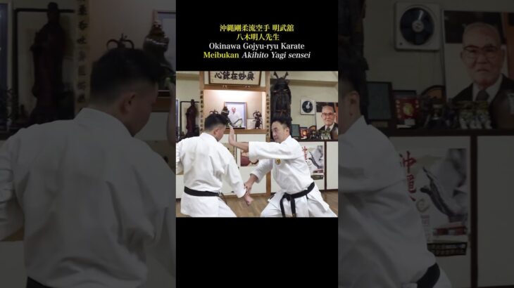 Hook and strike with the bone! Awesome Okinawan karate!