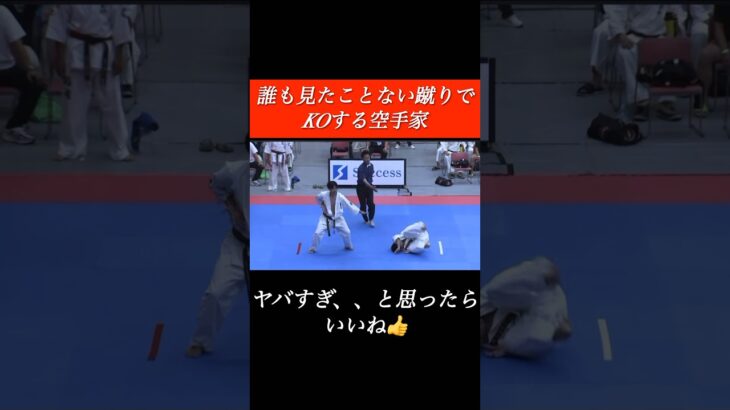 【衝撃KO】誰も見たことない蹴りでKOする空手家