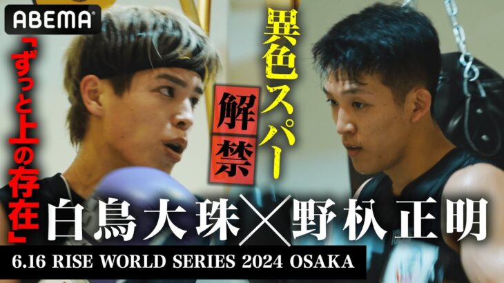 まさかのトレーニング＆スパーまで実現！「ずっと上の存在」”背水の陣”に臨む白鳥大珠が世界トップで闘う野杁正明とスパーリング！｜6.15 RISE WS OSAKA 2024 ABEMA独占生中継