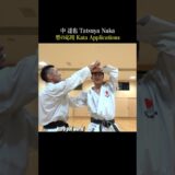 Karate【Fighting with Kata】